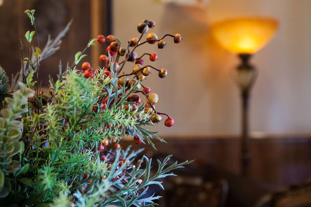 O'Brien Riverwalk Boutique Hotel ซานอันโตนิโอ ภายใน รูปภาพ