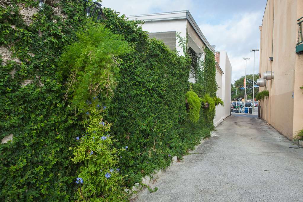 O'Brien Riverwalk Boutique Hotel ซานอันโตนิโอ ภายนอก รูปภาพ